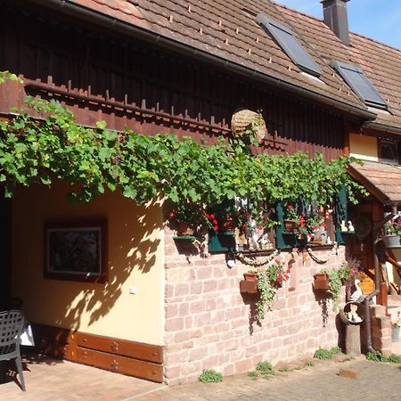 Gite Le Petit Moulin Rosenwiller Екстериор снимка