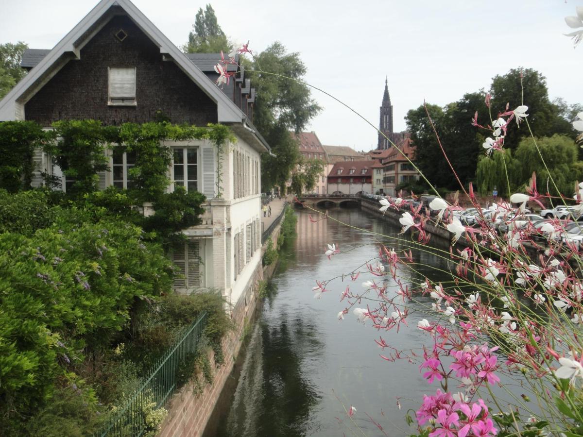 Gite Le Petit Moulin Rosenwiller Екстериор снимка