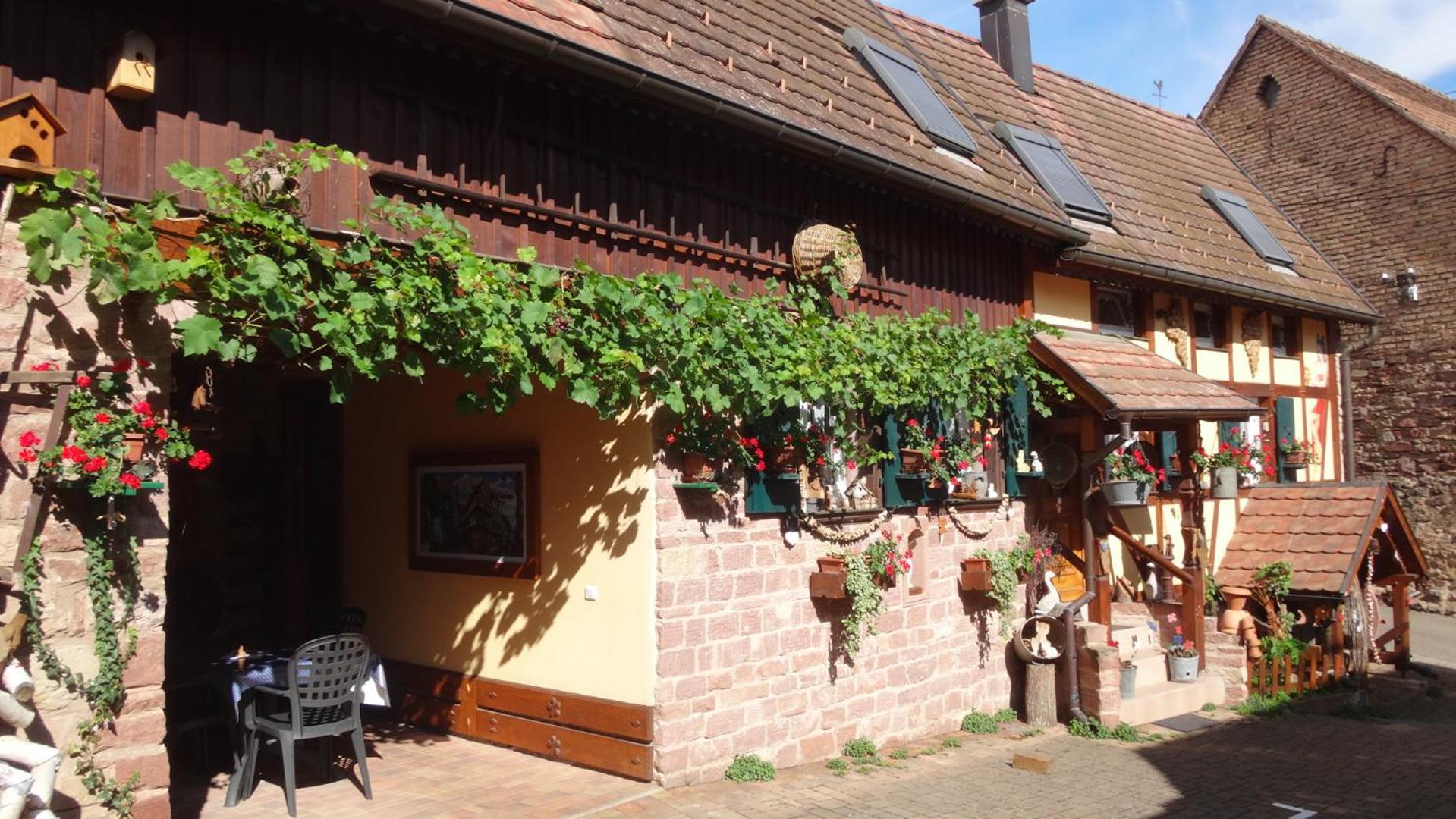 Gite Le Petit Moulin Rosenwiller Екстериор снимка