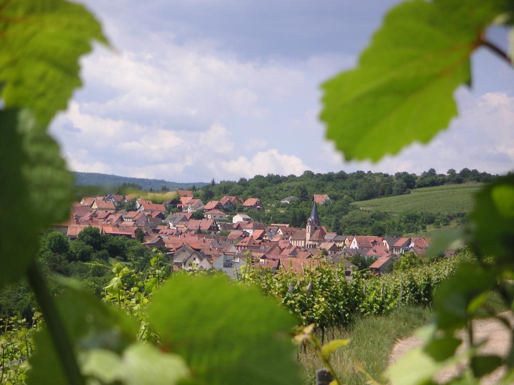 Gite Le Petit Moulin Rosenwiller Екстериор снимка