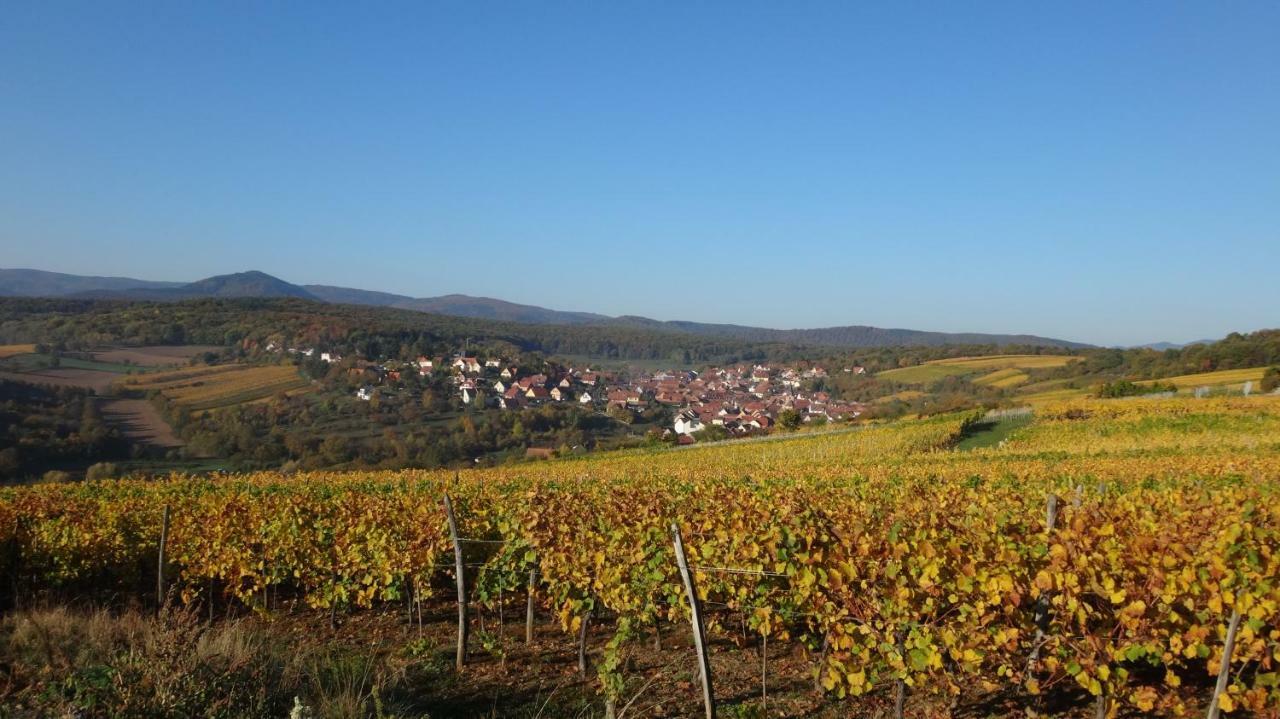 Gite Le Petit Moulin Rosenwiller Екстериор снимка