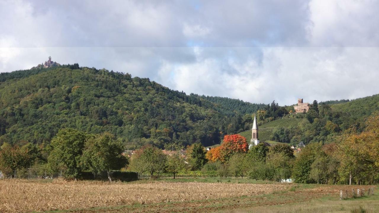 Gite Le Petit Moulin Rosenwiller Екстериор снимка
