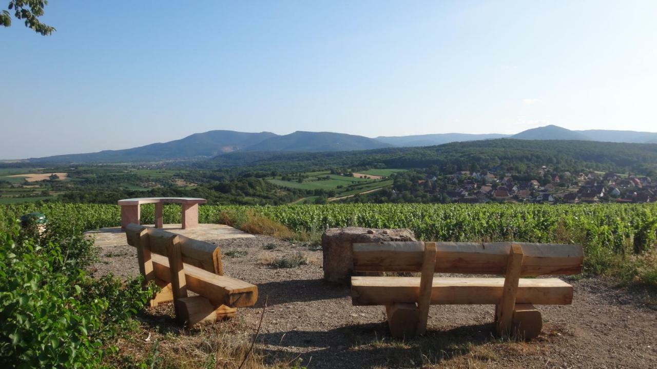 Gite Le Petit Moulin Rosenwiller Екстериор снимка