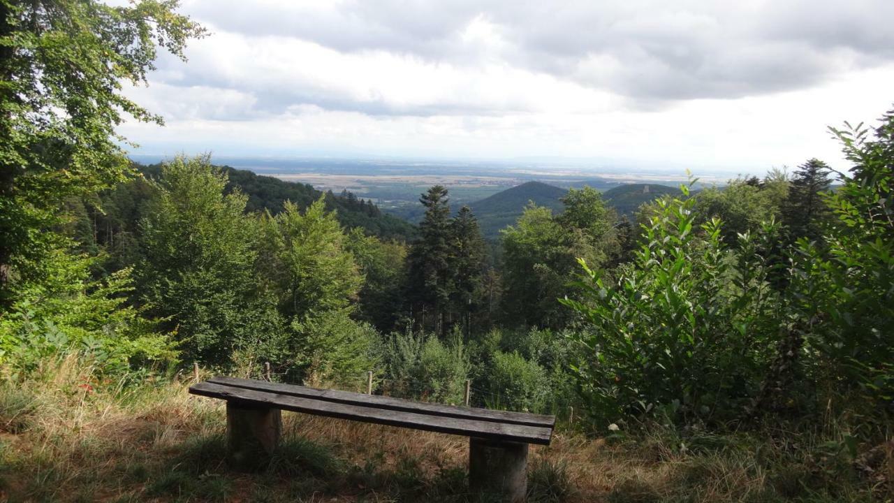 Gite Le Petit Moulin Rosenwiller Екстериор снимка