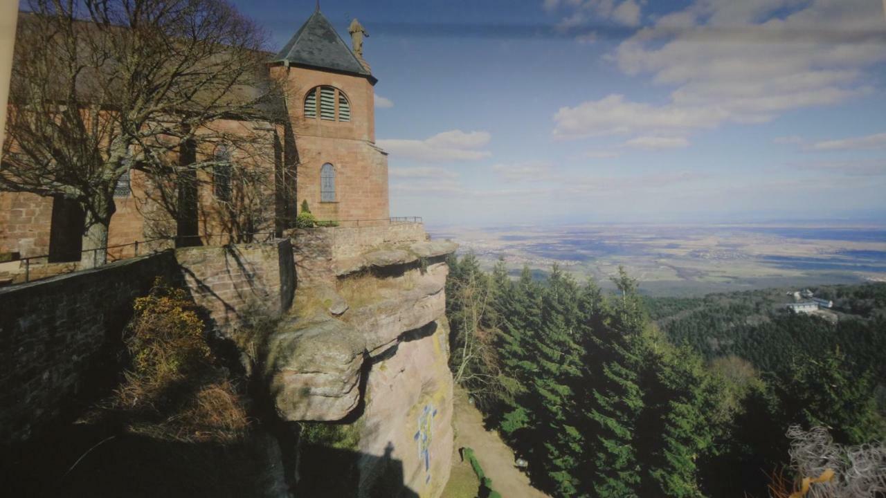 Gite Le Petit Moulin Rosenwiller Екстериор снимка