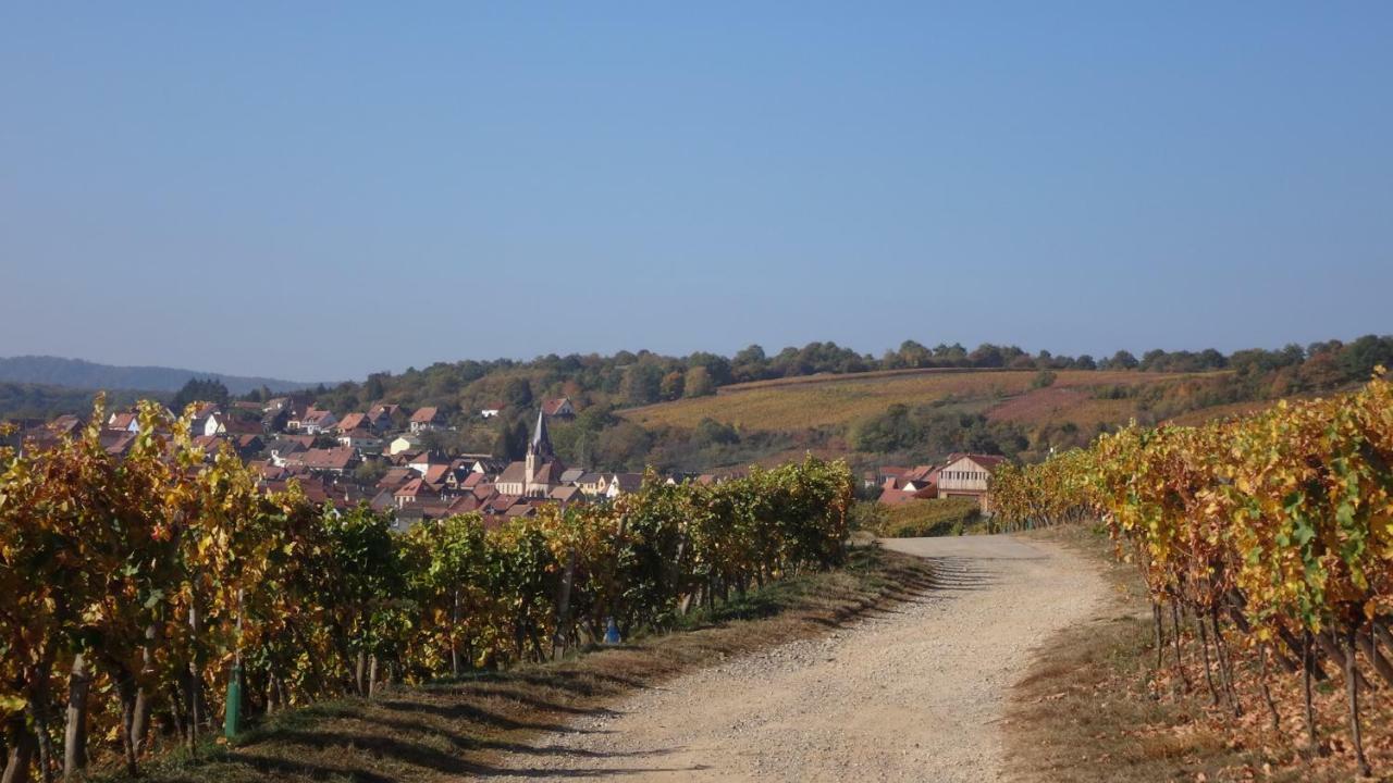 Gite Le Petit Moulin Rosenwiller Екстериор снимка
