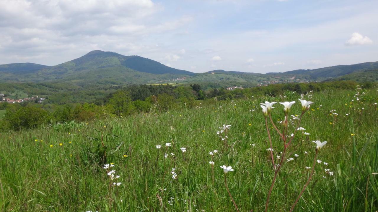 Gite Le Petit Moulin Rosenwiller Екстериор снимка